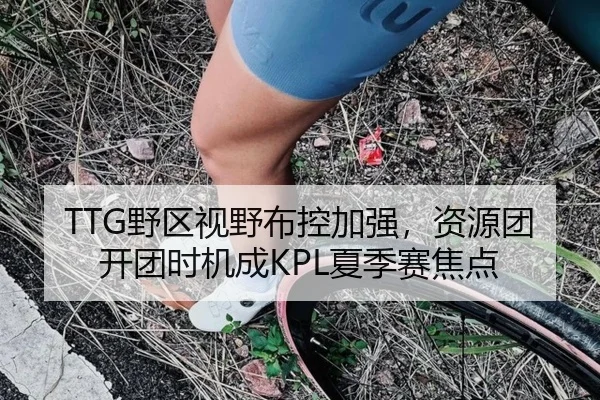 TTG野区视野布控加强，资源团开团时机成KPL夏季赛焦点
